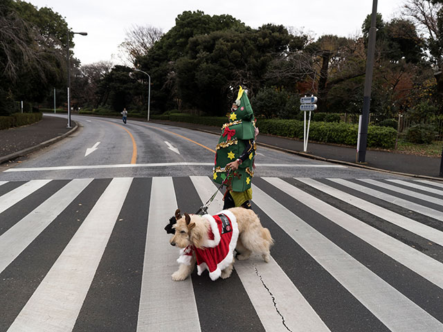 Пять тысяч Санта-Клаусов: благотворительный забег в Токио