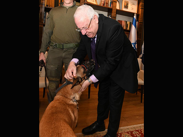 Президент Ривлин принял бойцов ЯМАМ и собаку Рембо, обезвредивших "барканского террориста" 