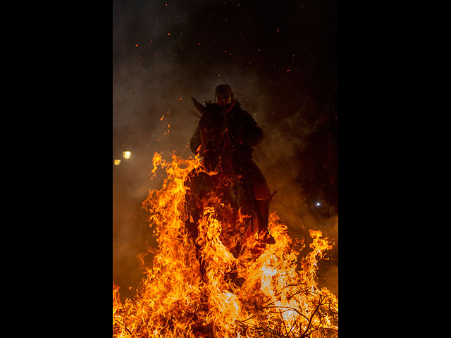 Очищение огнем: день заступника животных в Испании
