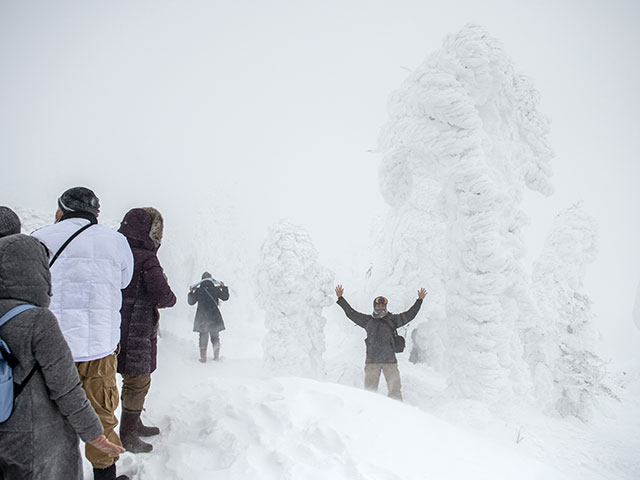"Снежные чудища" на склонах вулкана Зао