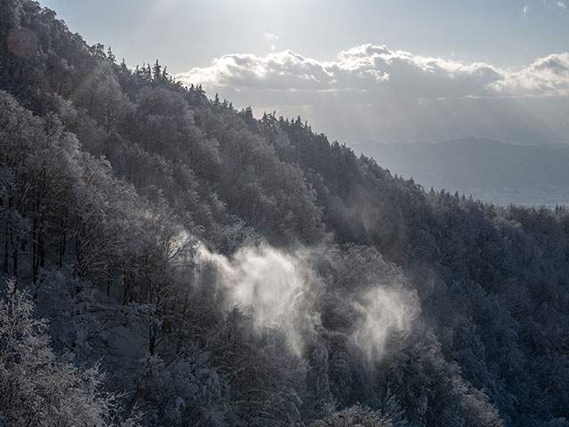 "Снежные чудища" на склонах вулкана Зао