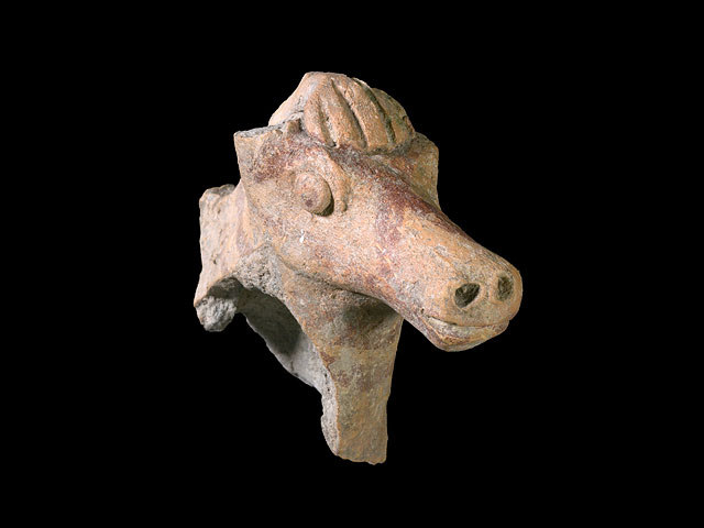 Древние конские фигурки: уникальные находки во время прогулок по северу Израиля  