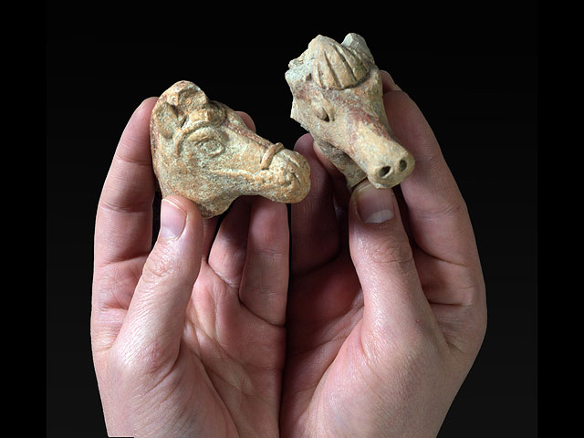 Древние конские фигурки: уникальные находки во время прогулок по северу Израиля  