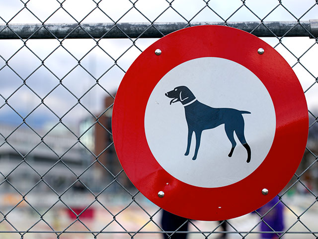 Иранцам запретили выгуливать собак в публичных местах  