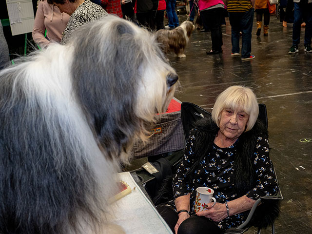 Выставка собак Crufts 2019