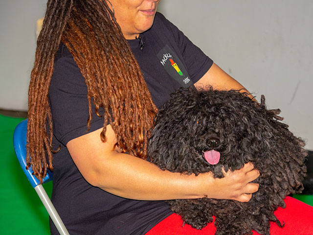 Выставка собак Crufts 2019