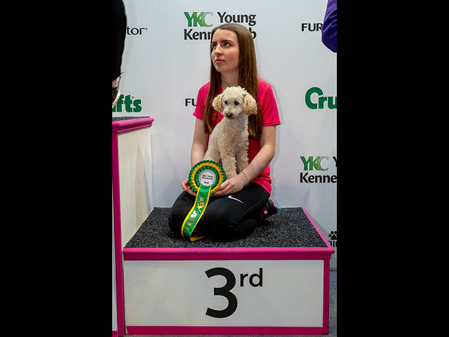 Выставка собак Crufts 2019