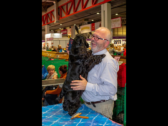 Выставка собак Crufts 2019