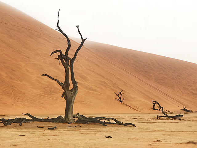 Дюны в пустыне Намиб, Намибия
