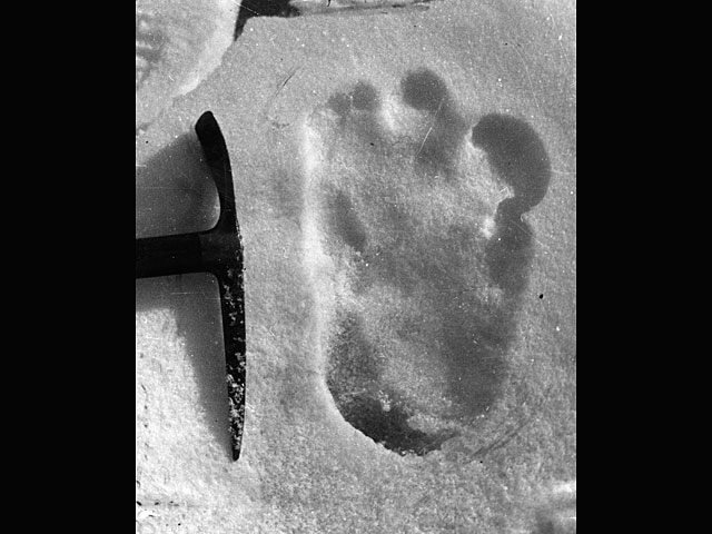 Вооруженные силы Индии объявили об обнаружении следов снежного человека