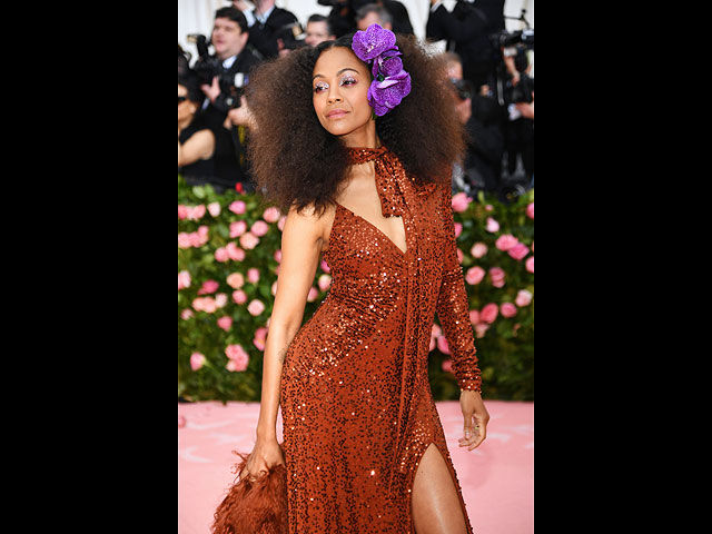 Церемония Met Gala в Нью-Йорке