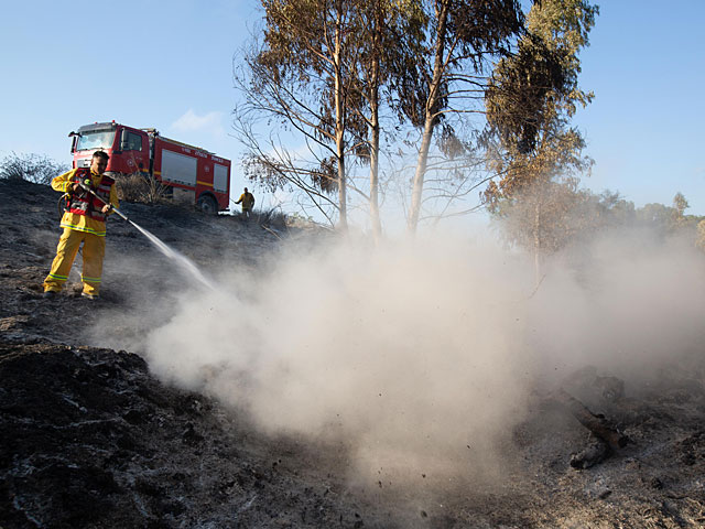 Пожар в лесу Мишмар а-Эмек, не исключен поджог