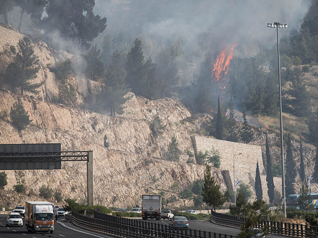 Сильные пожары в Израиле: эвакуированы сотни семей