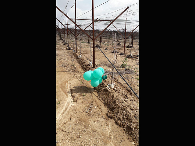 В одном из населенных пунктов Эшколя упал "огненный шар" из Газы