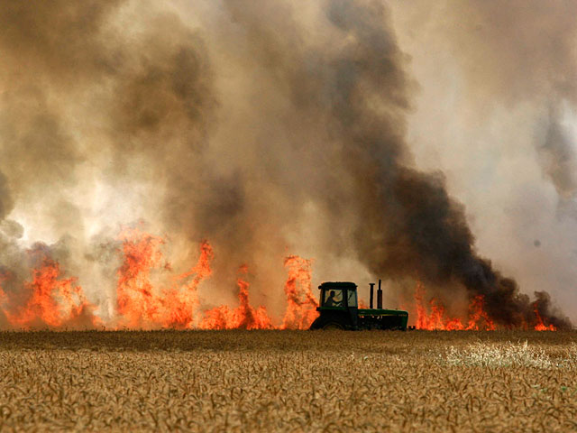 В Шаар а-Негев горит пшеничное поле