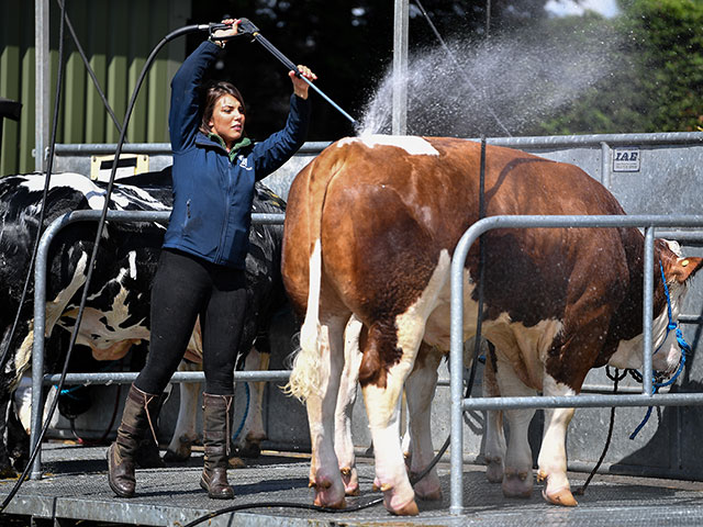 Royal Highland Show