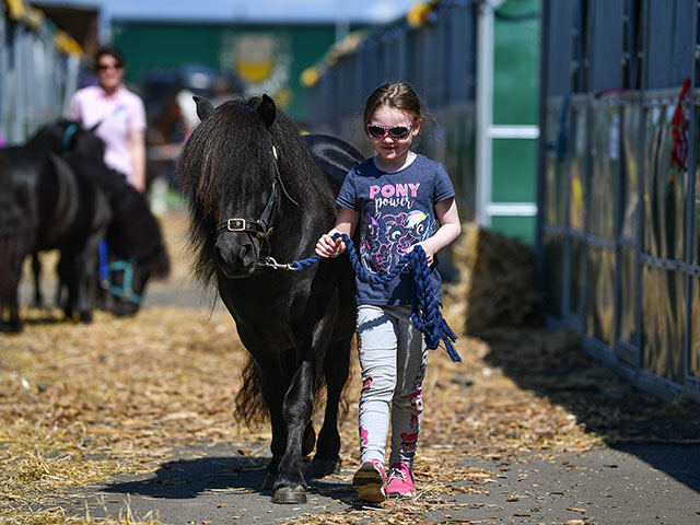 Royal Highland Show