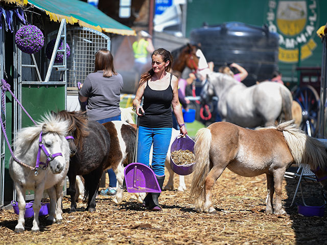 Royal Highland Show