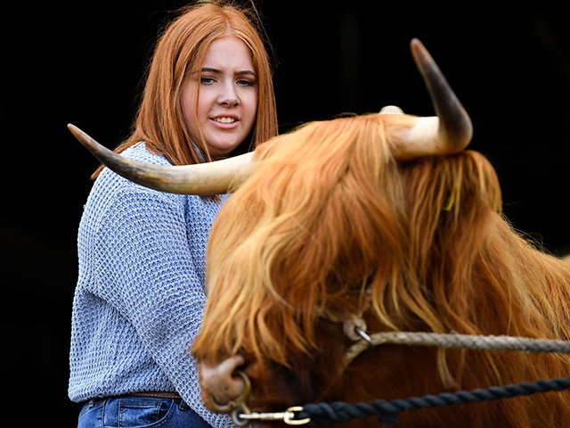Royal Highland Show