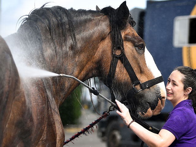Royal Highland Show