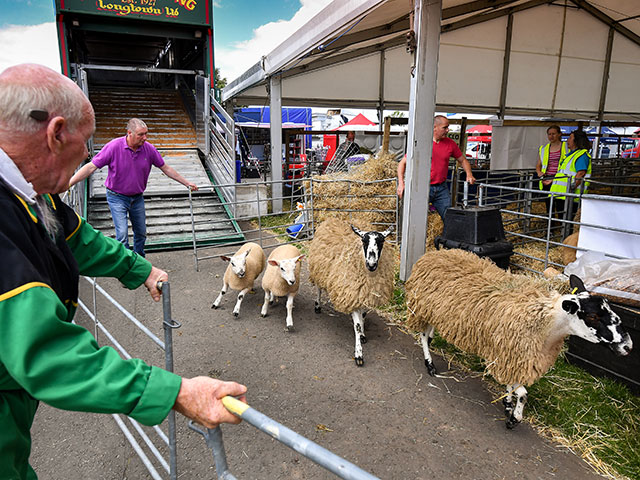 Royal Highland Show