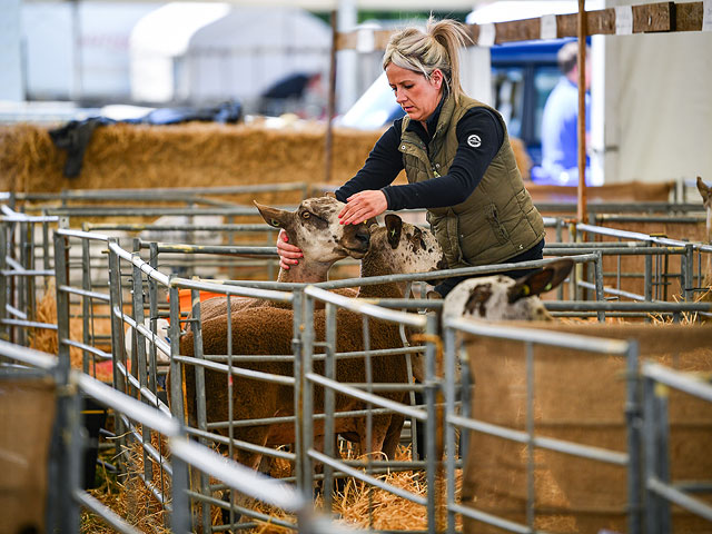 Royal Highland Show