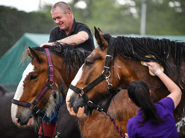 Royal Highland Show