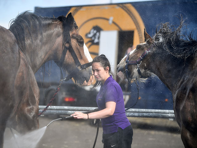 Royal Highland Show