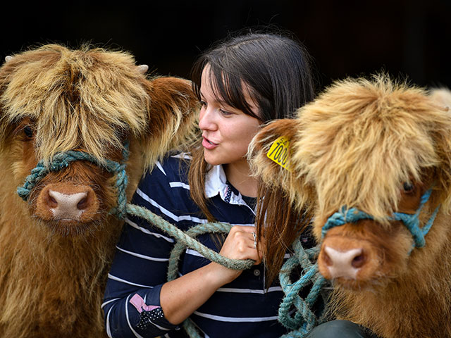 Royal Highland Show