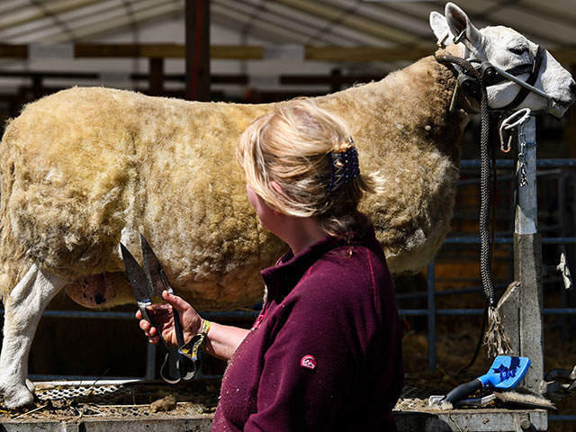 Royal Highland Show