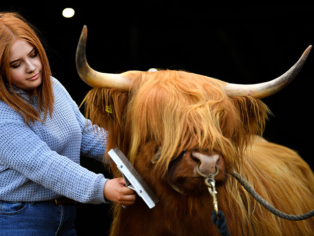 Royal Highland Show