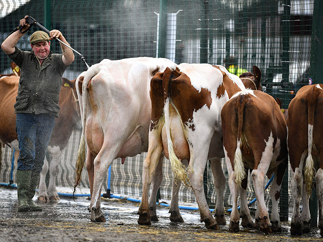 Royal Highland Show