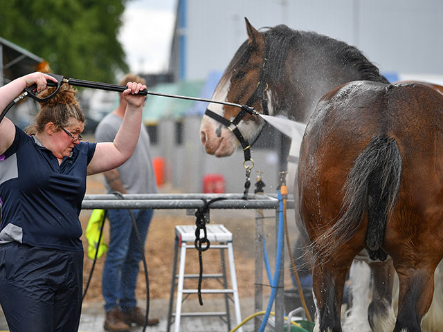 Royal Highland Show