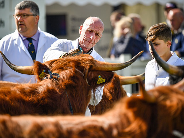 Royal Highland Show 