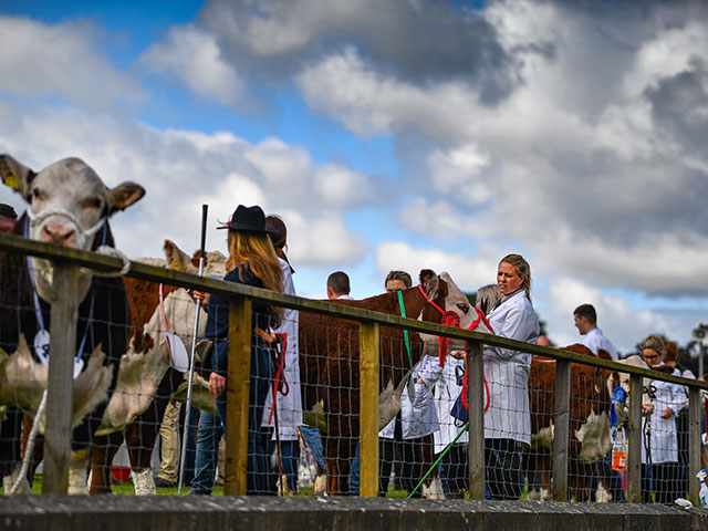 Royal Highland Show 