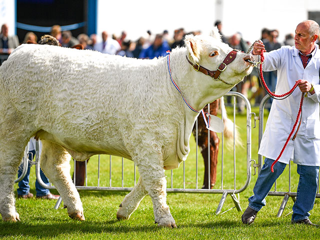 Royal Highland Show 