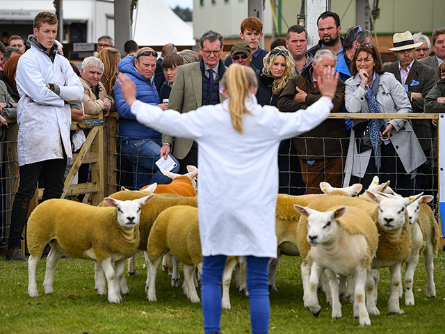 Royal Highland Show 