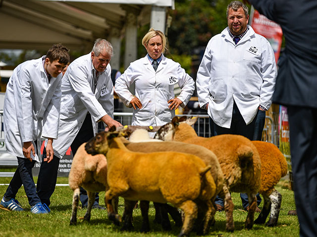 Royal Highland Show 