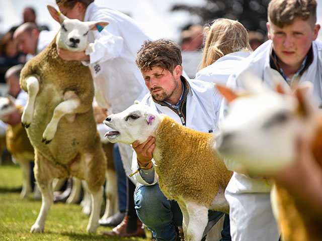 Royal Highland Show 