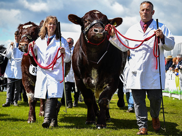 Royal Highland Show 