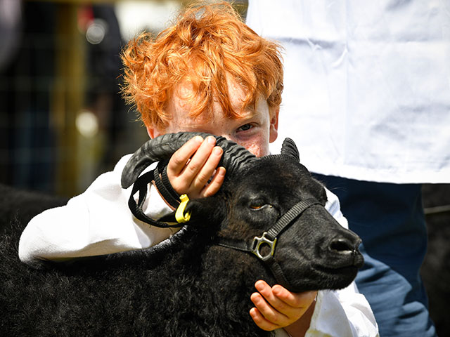 Royal Highland Show 