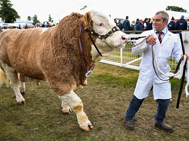 Royal Highland Show 