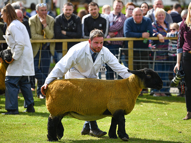 Royal Highland Show 