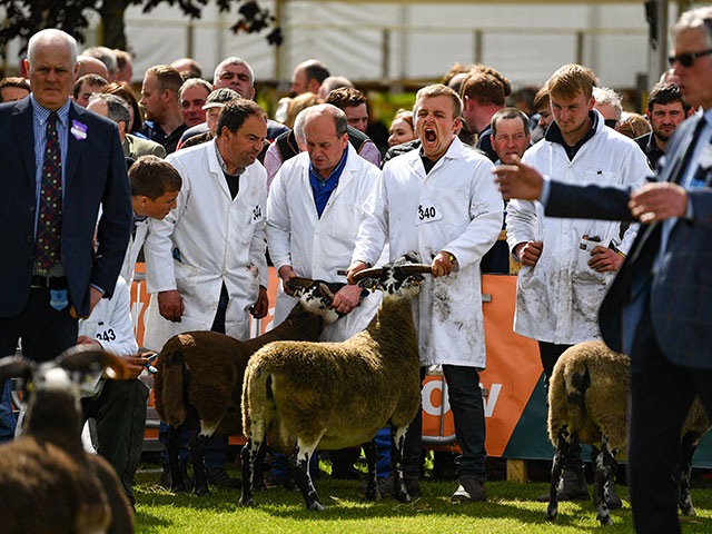 Royal Highland Show 