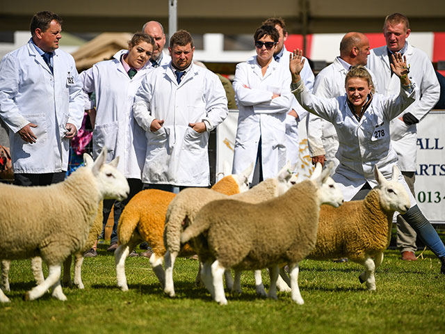 Royal Highland Show 