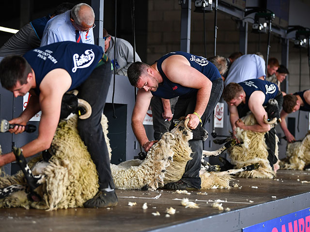 Royal Highland Show 