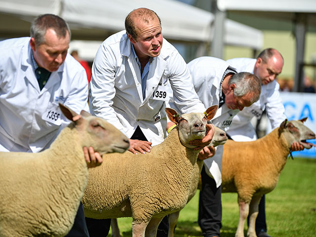 Royal Highland Show 