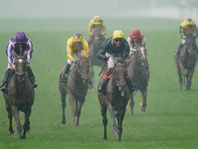 Скачки Royal Ascot