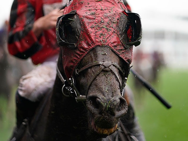 Скачки Royal Ascot