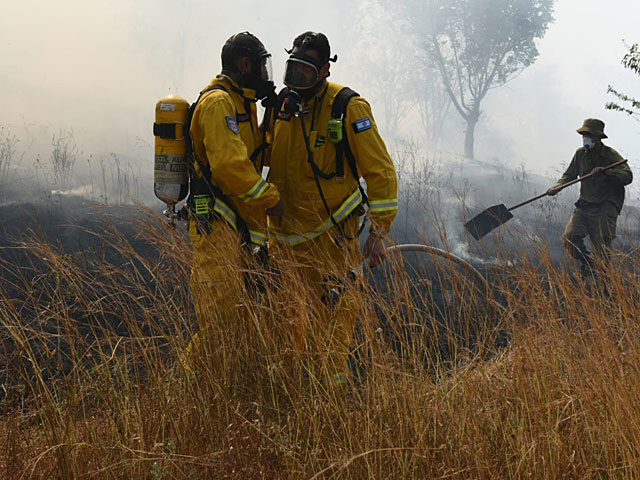 "Огненный террор" продолжается: пожар в лесу Симхони